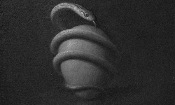 Shedding the Year: Closing the Cycle with the Wisdom of the Snake