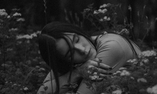 An Invitation to Lucid Dreaming