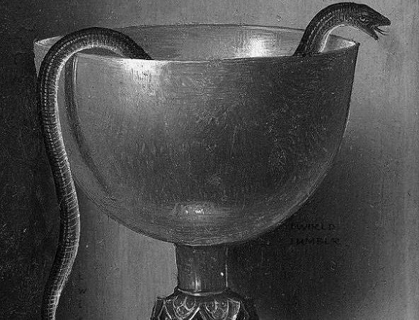 Exploring the Suit of Cups: The Language of Emotion, Intuition, and Connection