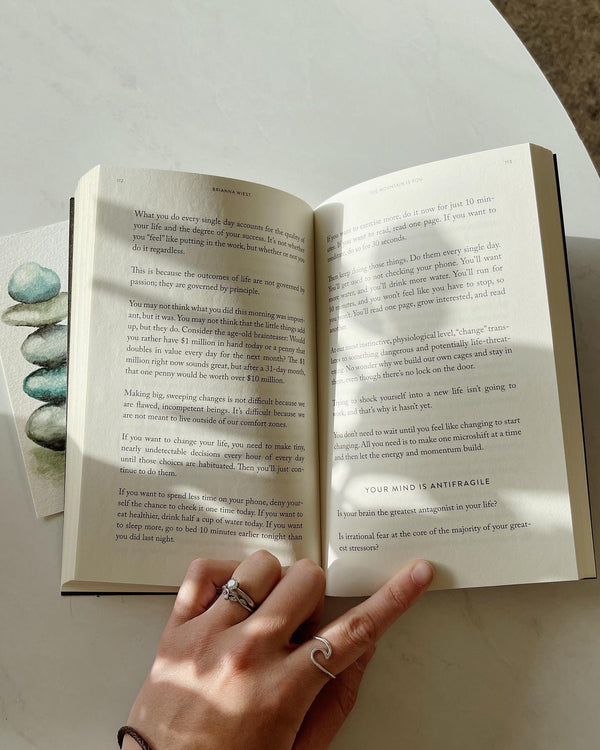 The Mountain Is You • Book