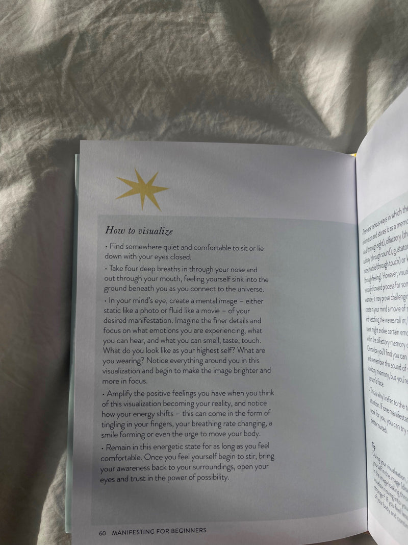 Manifesting For Beginners • Book